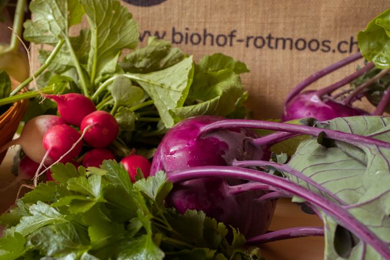 Biohof Rotmoos Gemüsetasche