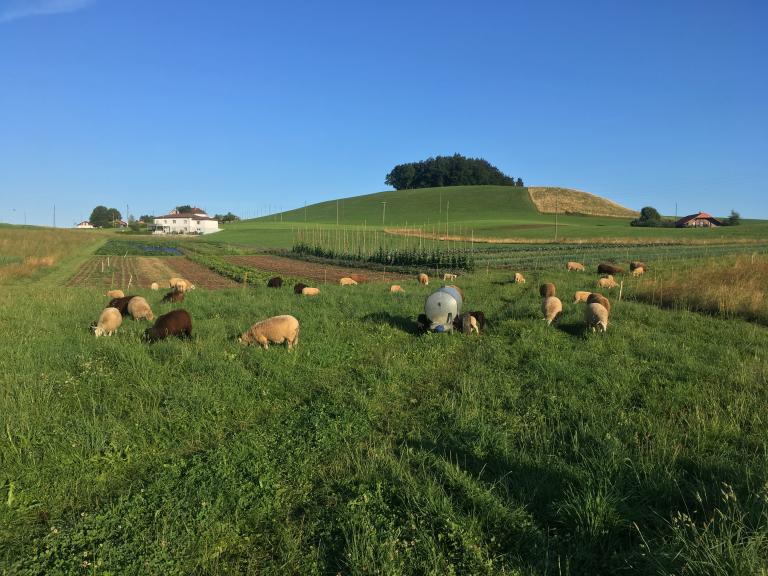 Vue sur Biohof Rotmoos