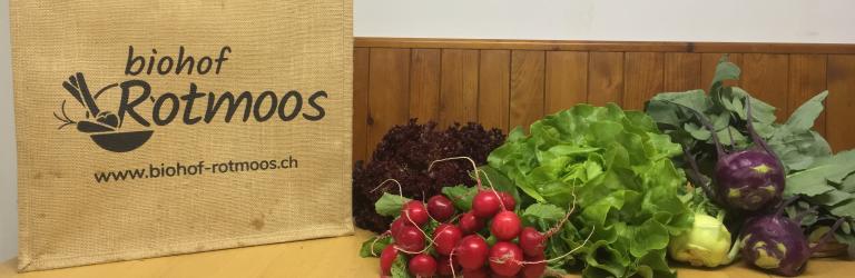 Panier de légumes Biohof Rotmoos